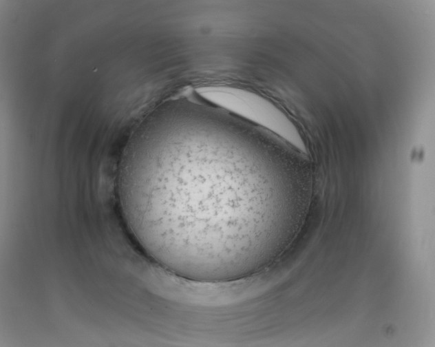 X0000091970030200709201415