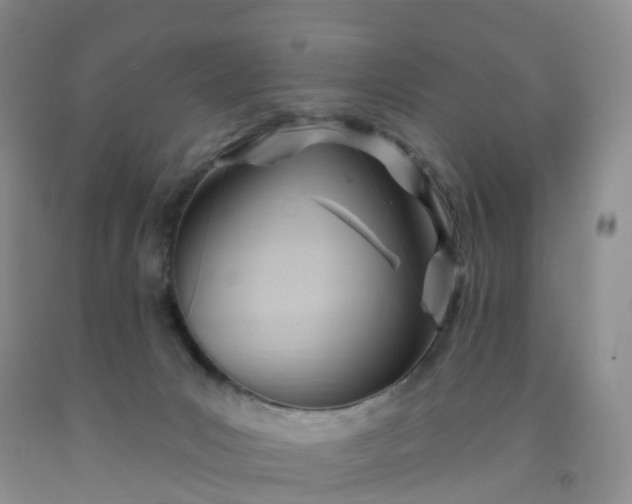 X0000091970031200709201415