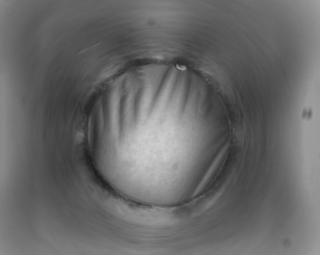 X0000091970032200709201415