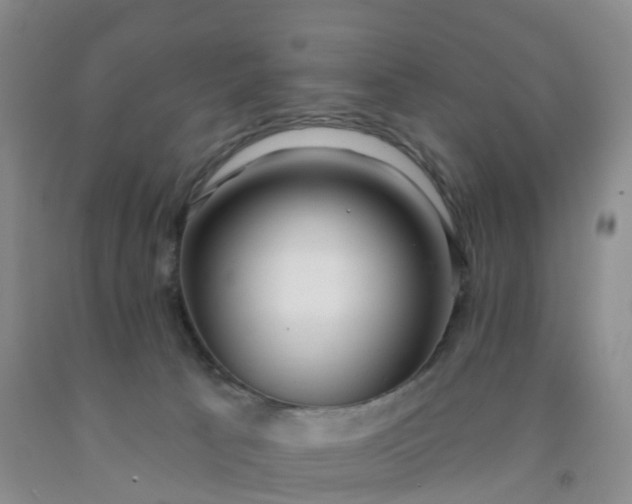 X0000091970033200709201415