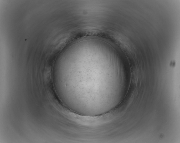 X0000091970034200709201415