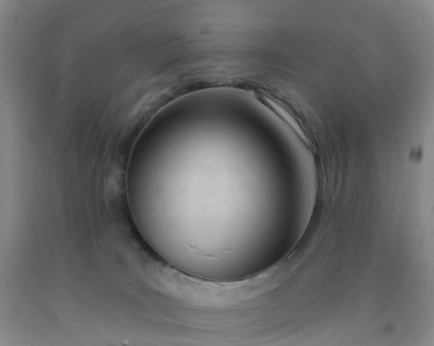 X0000091970035200709201415