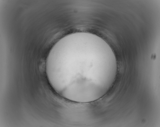 X0000091970036200709201415