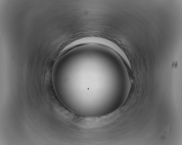 X0000091970037200709201415