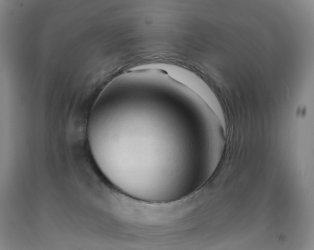 X0000091970039200709201415