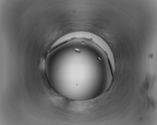 X0000091970041200709201414