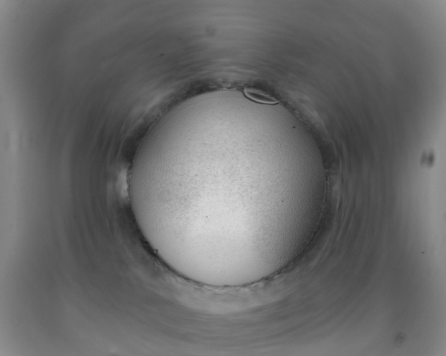 X0000091970042200709201414