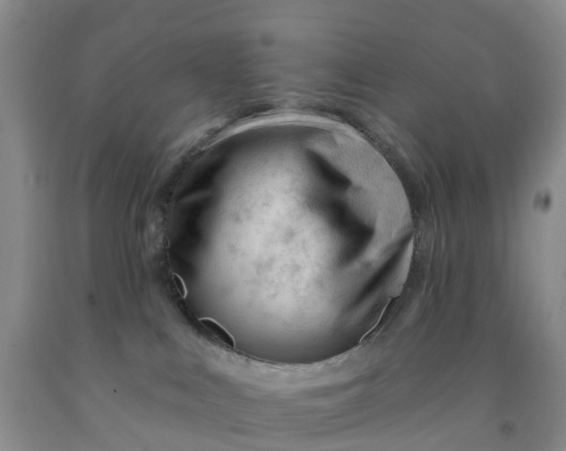 X0000091970043200709201414