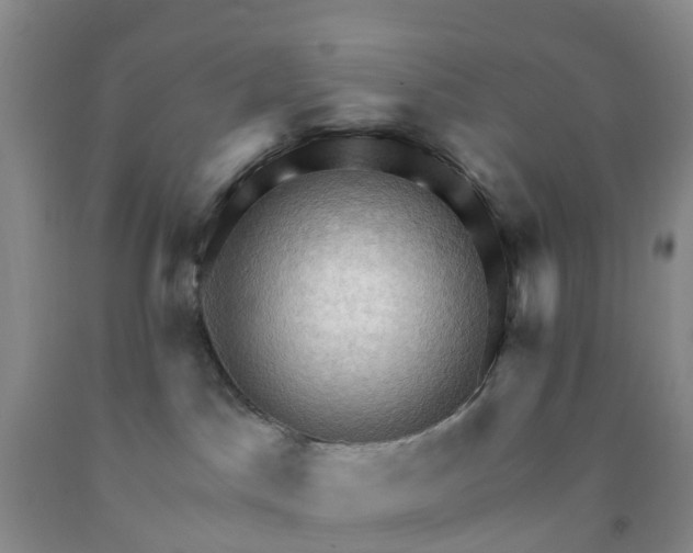 X0000091970045200709201414