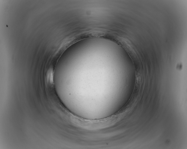 X0000091970046200709201414
