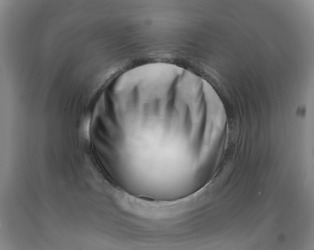 X0000091970047200709201414