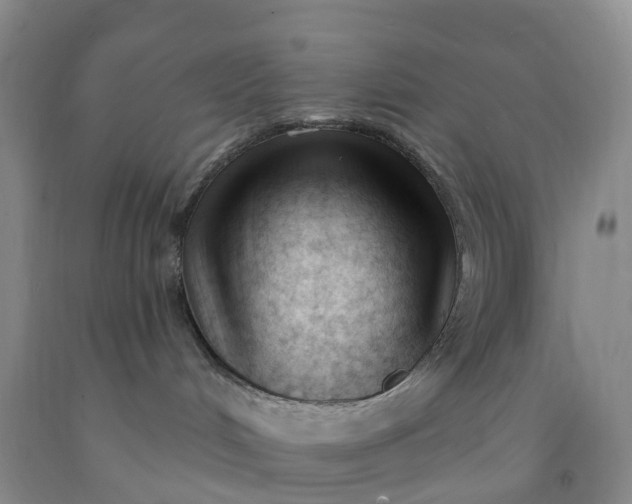 X0000091970048200709201414