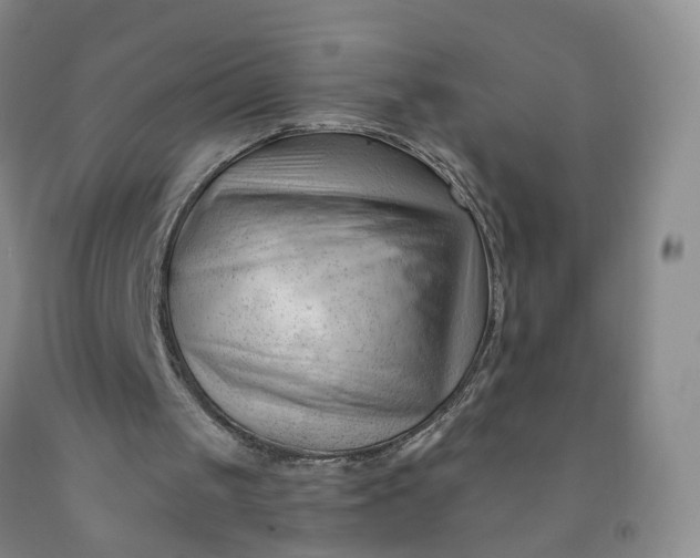 X0000091970049200709201414