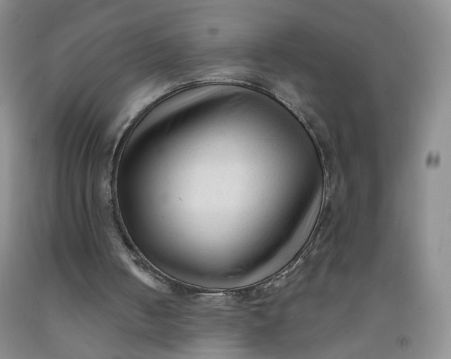 X0000091970050200709201414