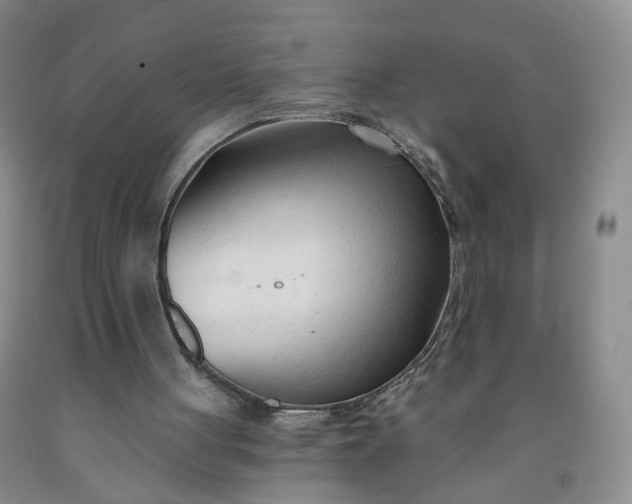 X0000091970051200709201414