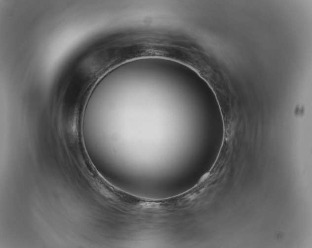 X0000091970052200709201414