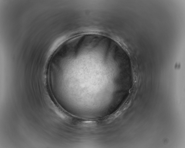 X0000091970053200709201414