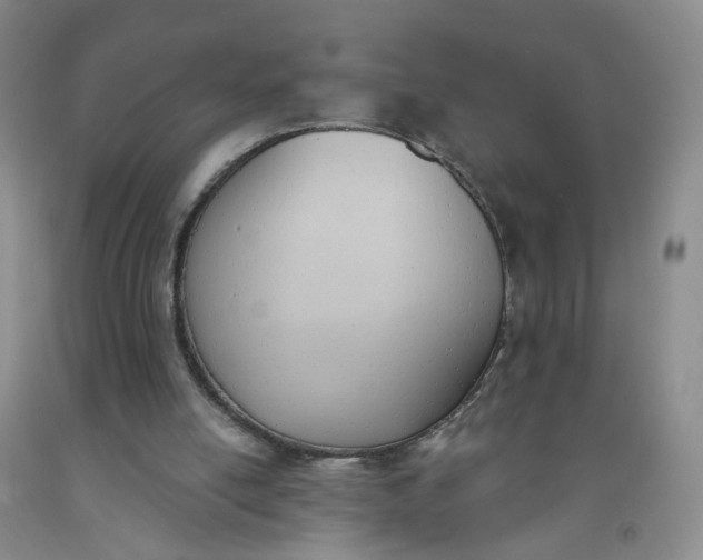 X0000091970054200709201414