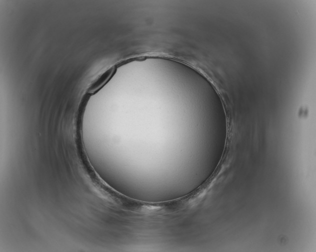 X0000091970055200709201414