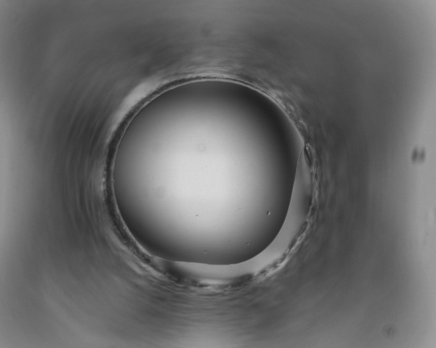 X0000091970056200709201414