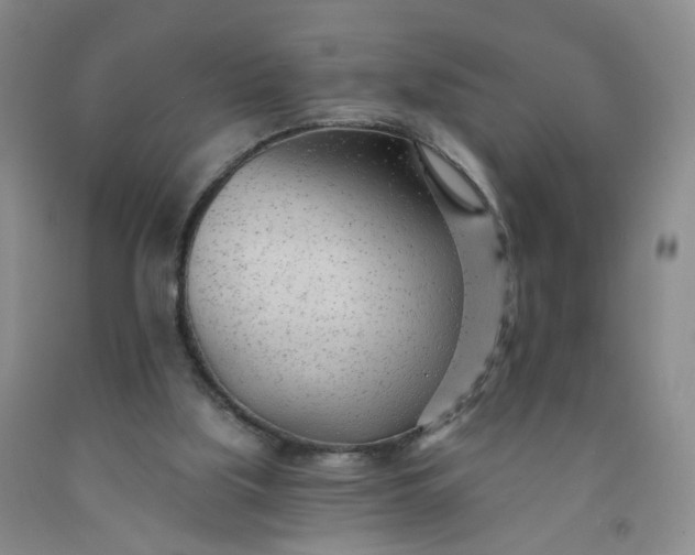 X0000091970059200709201414