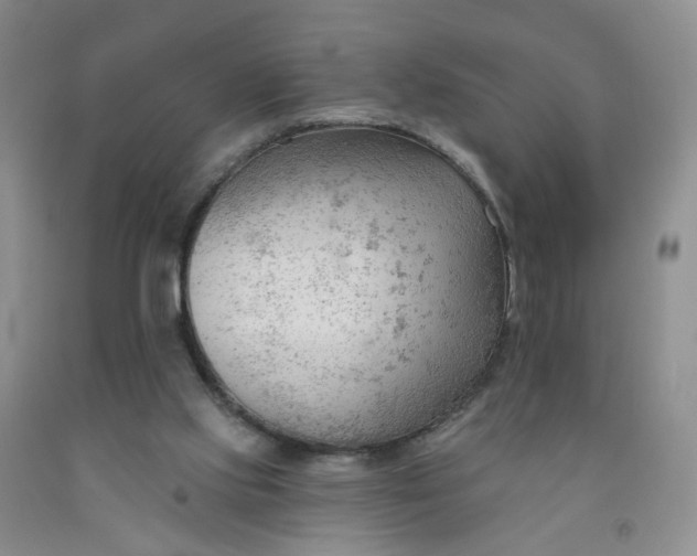 X0000091970061200709201414