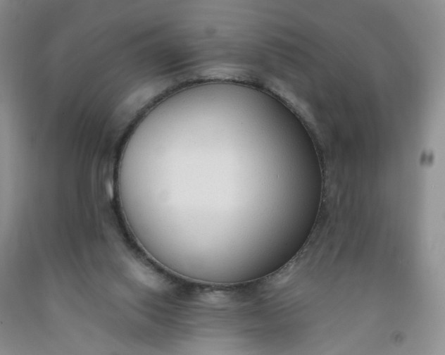 X0000091970062200709201414