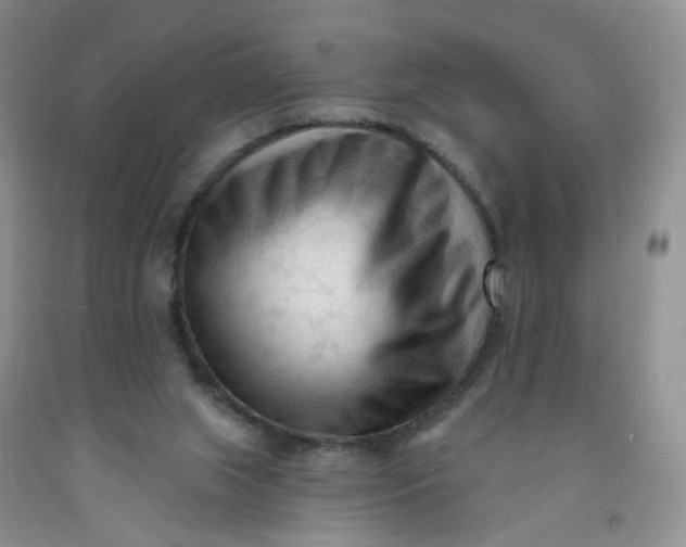 X0000091970063200709201414