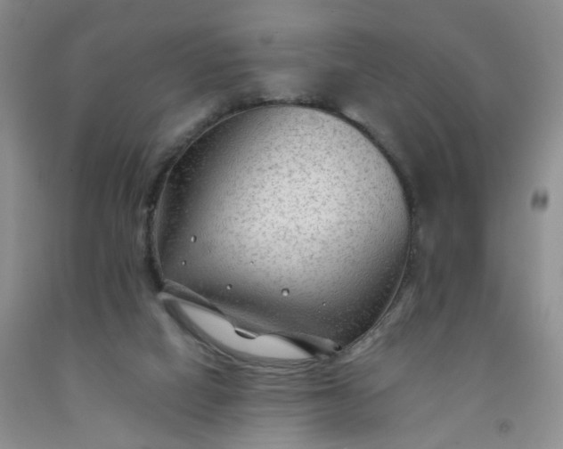 X0000091970066200709201414