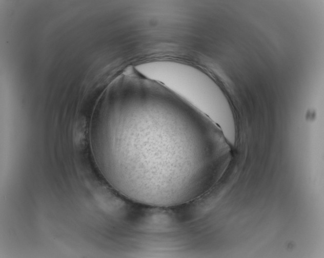 X0000091970073200709201414