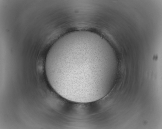 X0000091970074200709201414
