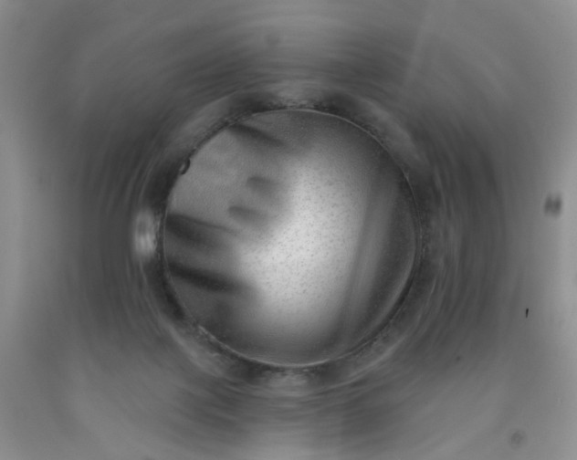 X0000091970075200709201414