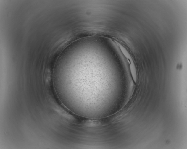 X0000091970077200709201414