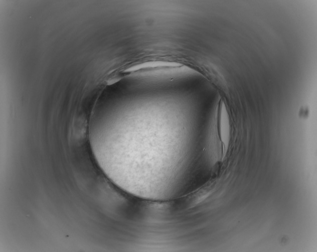 X0000091970081200709201414