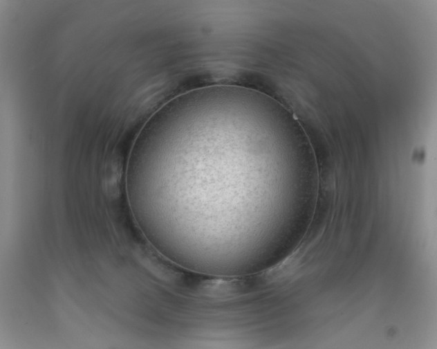 X0000091970082200709201414