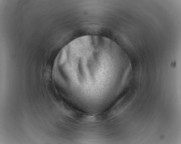 X0000091970083200709201414