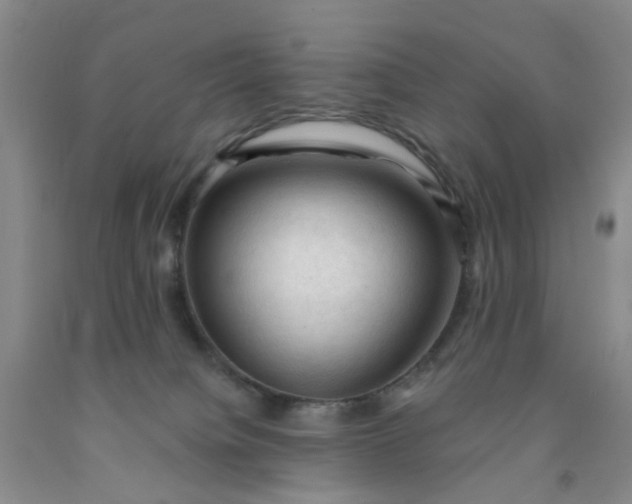 X0000091970084200709201414