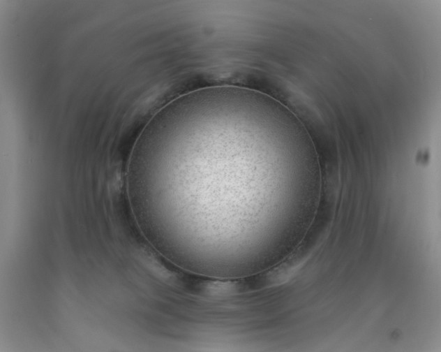 X0000091970085200709201414