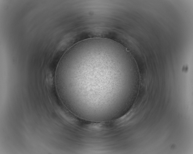 X0000091970086200709201414