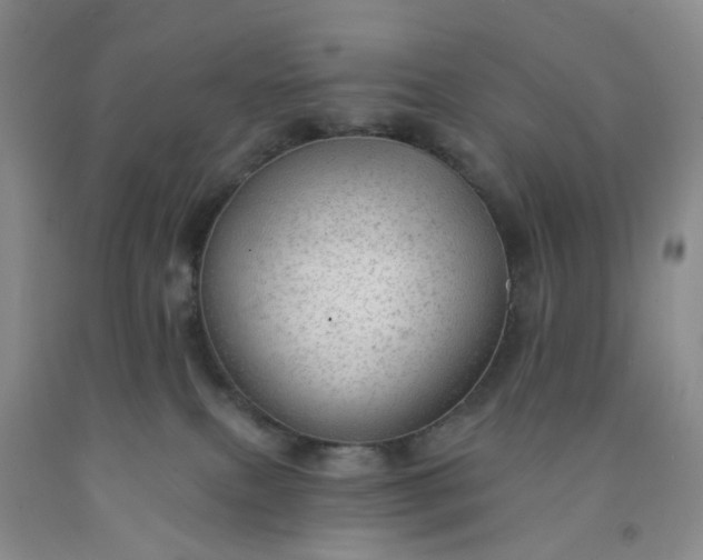 X0000091970087200709201414