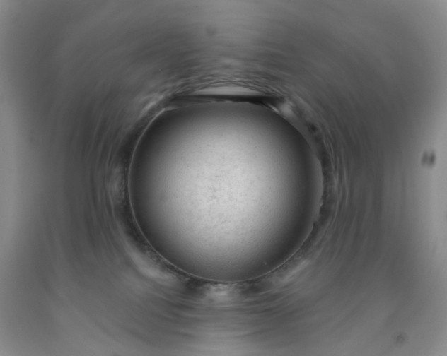 X0000091970088200709201414