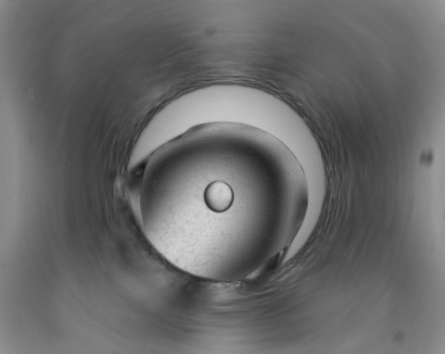 X0000091970089200709201414