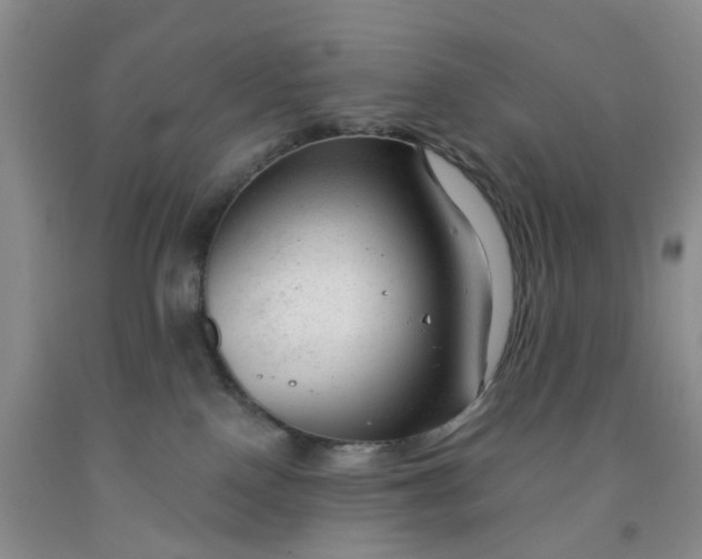 X0000091970090200709201414