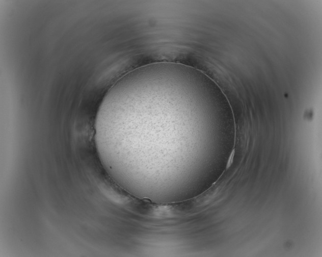 X0000091970091200709201414