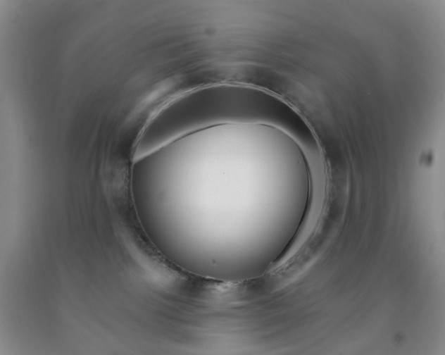 X0000091970092200709201414