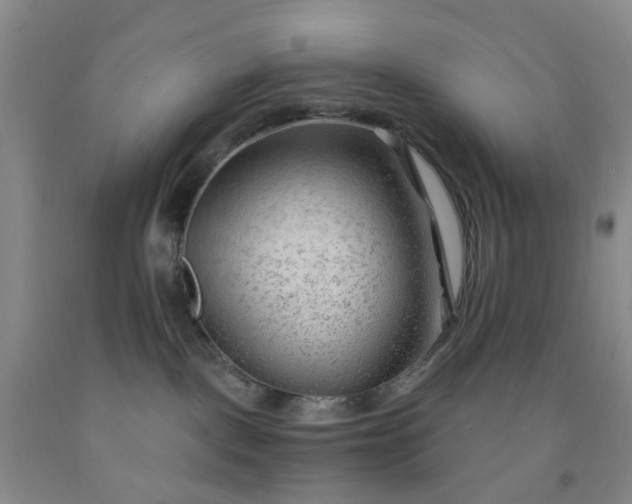 X0000091970093200709201414
