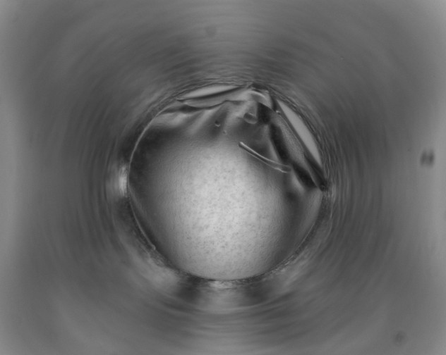 X0000091970095200709201414