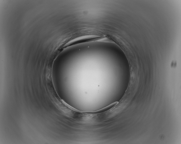X0000091970096200709201414