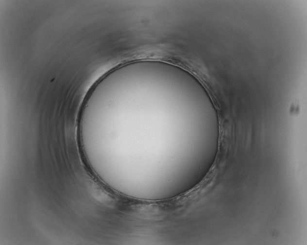 X0000091970100200709201414