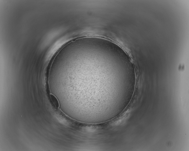 X0000091970103200709201414